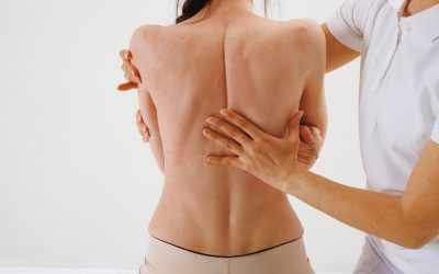 Your Posture Matters: A Guide to Better Ergonomics at Work and Home